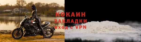 прущие грибы Киренск