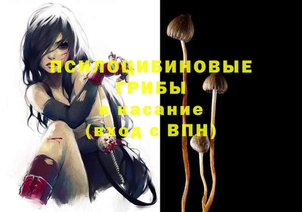 СК Киреевск