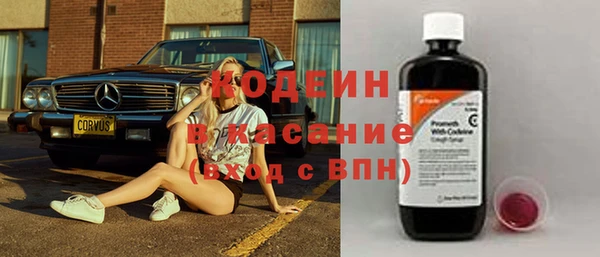 прущие грибы Киренск