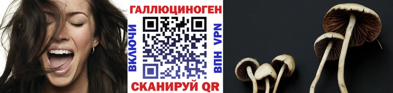 Галлюциногенные грибы мицелий  Купить где  Слюдянка 