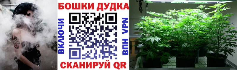 Купить где  Слюдянка  Канабис марихуана 